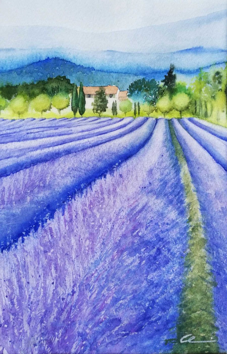 Profumo di lavanda 900